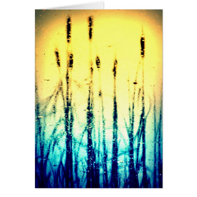 Gloria reflejada (Frente)