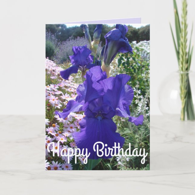 Gloriosa tarjeta de cumpleaños floral de iris mora (Anverso)