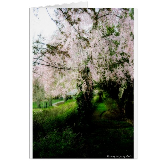 Gloriosa tarjeta de primavera (Frente)
