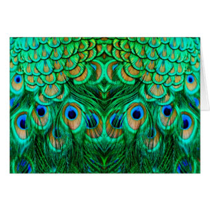Gloriosas plumas de pavo real