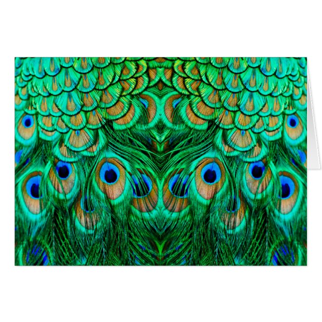 Gloriosas plumas de pavo real (Anverso (Horizontal))