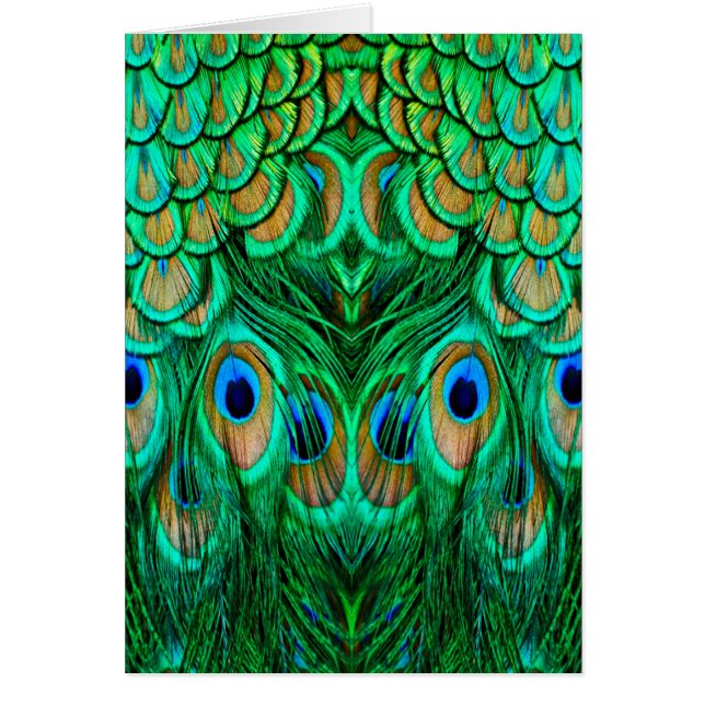 Gloriosas plumas de pavo real (Frente)