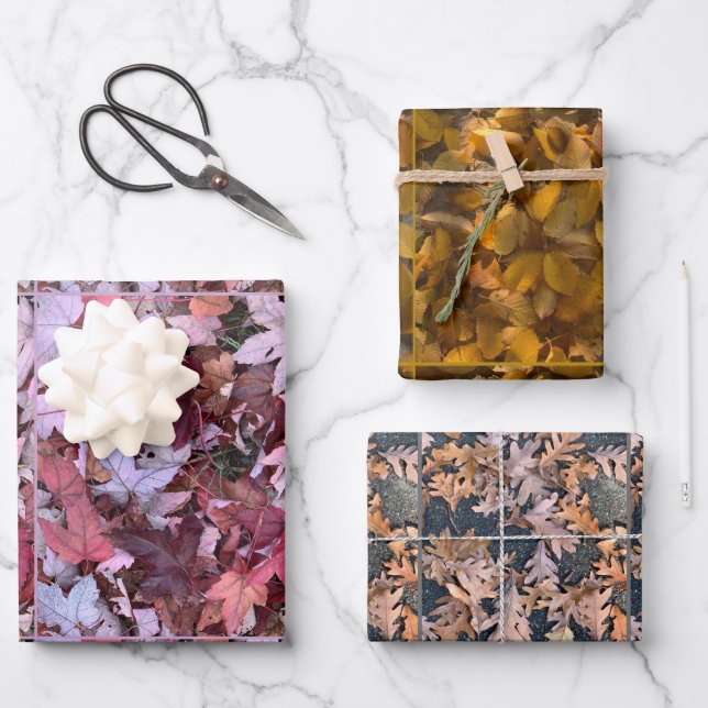 Glorioso otoño sobre el conjunto de papel de envol (Anverso)