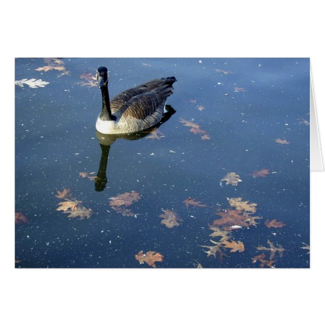Glossy Goose (Anverso (Horizontal))