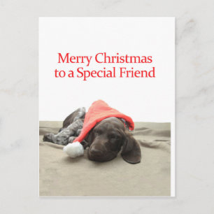 Glossy Grizzly Amigo Especial Feliz Navidad