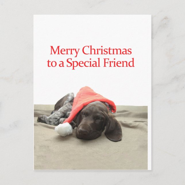 Glossy Grizzly Amigo Especial Feliz Navidad (Anverso)