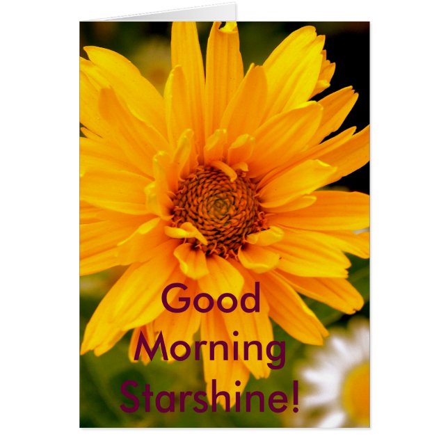 G'Morning Starshine (Frente)