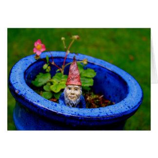 Gnome curioso