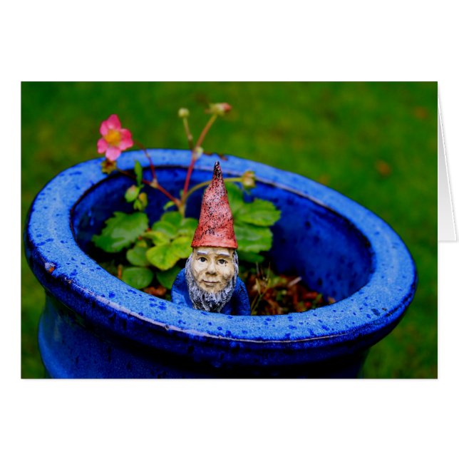 Gnome curioso (Anverso (Horizontal))