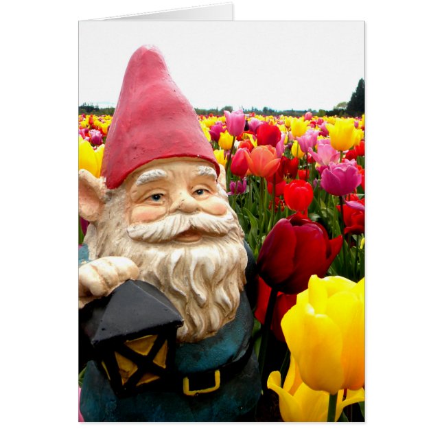 Gnome Petals (Frente)