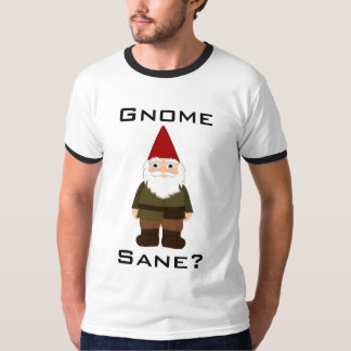¿Gnomo sano? Camiseta