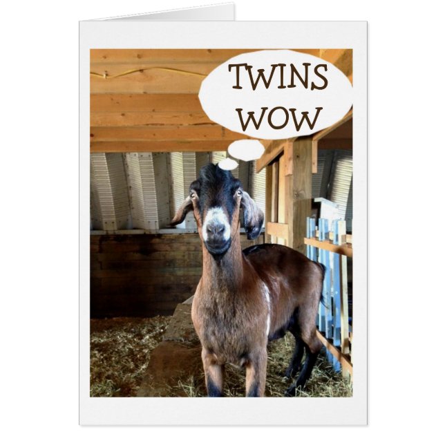 GOAT IS SO EXCITED FOR YOUR TWIN BIRTH-DOUBLE LOVE (Frente)