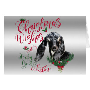 GOAT   Navidades Desean Beber De Cabra Besa Nubia