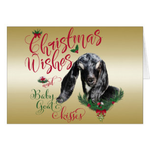 GOAT Navidades Desean Beber De Cabra Besa Nubia