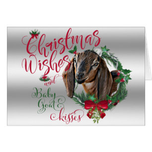 GOAT   Navidades Desean Bebés De Cabra Nubia 2