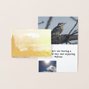 goce de la tarjeta de la naturaleza