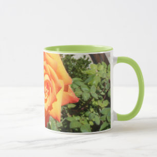 Goce de una taza con un color de rosa anaranjado