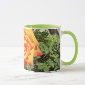 Goce de una taza con un color de rosa anaranjado