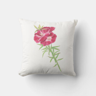 Godetia y la almohada del arrojo de Cornflower