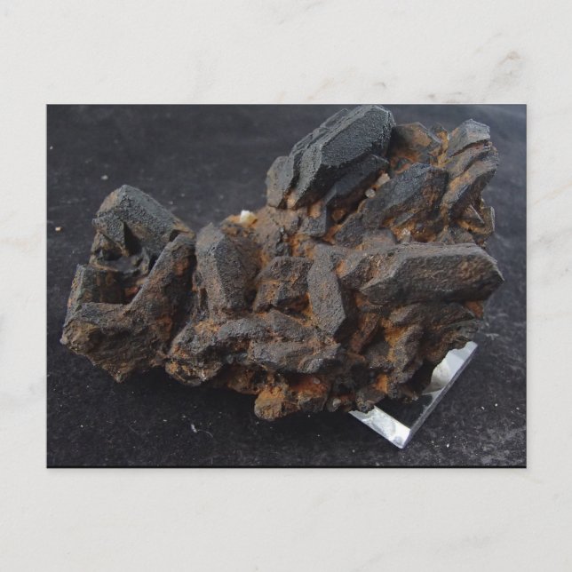 Goethite después de la tarjeta de publicación side (Anverso)