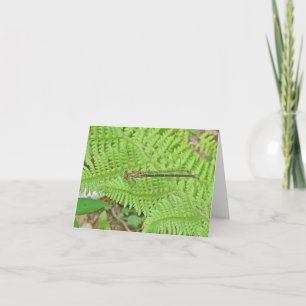 Golden Damselfly sobre la tarjeta de nota de ferry