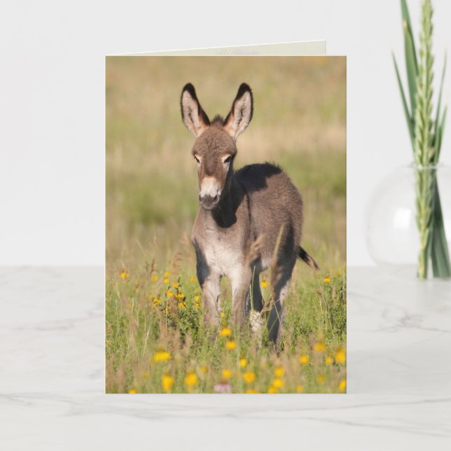 "Golden Meadows" - Tarjeta de felicitación (Anverso)