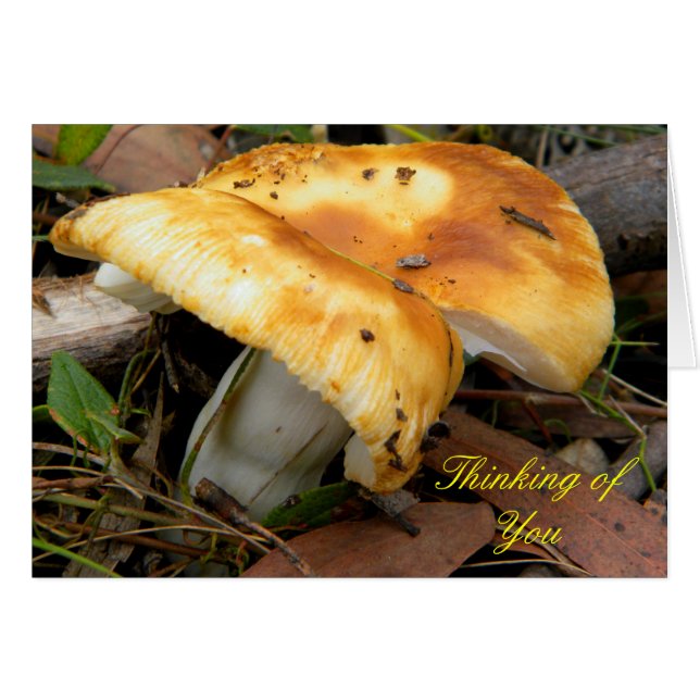 Golden Mushroom (Anverso (Horizontal))