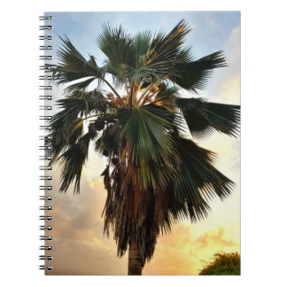 Golden Palm Sky - Cuaderno de Espiral Tropical