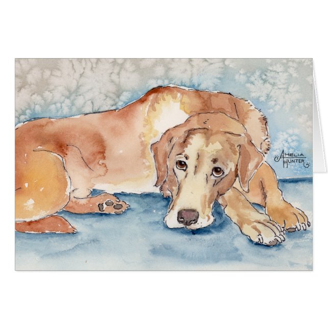 Golden retriever (Anverso (Horizontal))