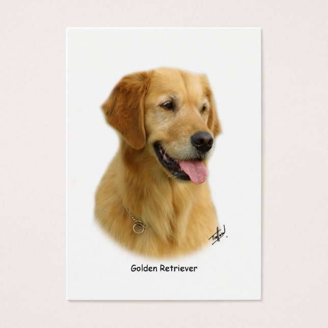 Golden Retriever 9K011D-08 (Frente)