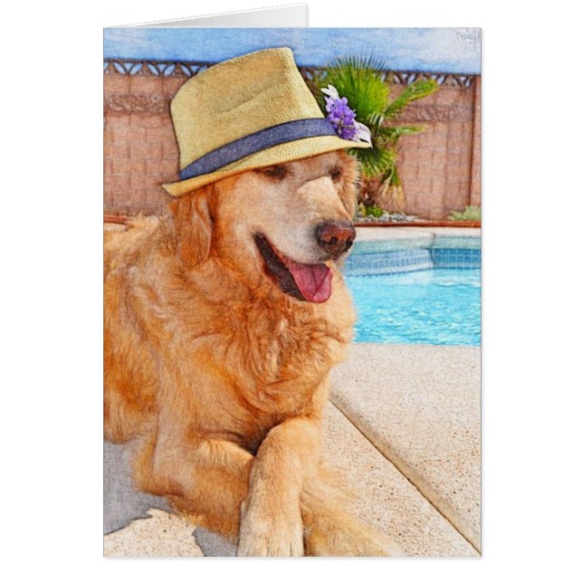 Golden retriever - amor del verano (Frente)