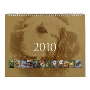 Golden retriever - calendario de pared 2010