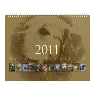 Golden retriever - calendario de pared 2011