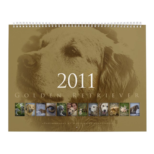 Golden retriever - calendario de pared 2011 (Tapa)