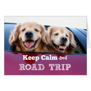 Golden Retriever Calm and Road Trip