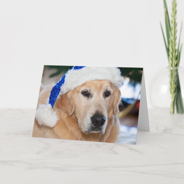 Golden retriever con el gorra de santa en navidad (Anverso)