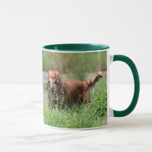 Golden retriever con la taza del pato