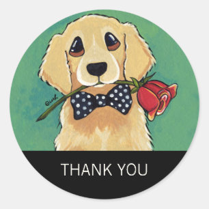 Golden Retriever con Rosa Gracias Pegatinas