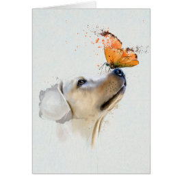 Golden retriever con una mariposa en su nariz