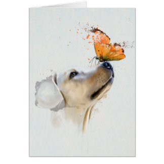 Golden retriever con una mariposa en su nariz