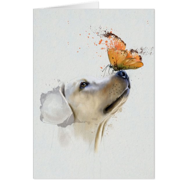 Golden retriever con una mariposa en su nariz (Frente)