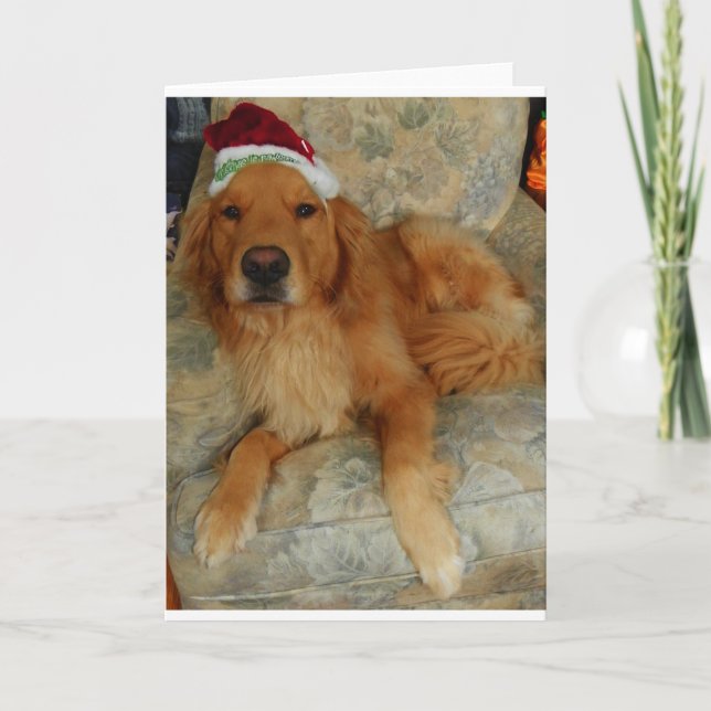 Golden retriever en el navidad (Anverso)