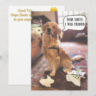 Golden Retriever en problemas con Santa Navidad