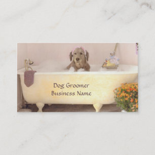 Golden retriever en tarjeta de visita del Groomer