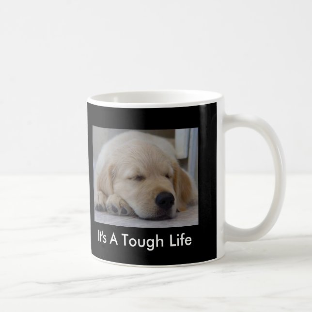 Golden retriever es una taza dura del perrito de (Derecha)