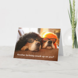 Golden Retriever Otra Tarjeta De Saludo De Cumplea