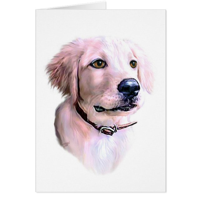 Golden Retriever Puppy (Frente)