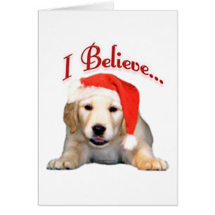 Golden Retriever que creo