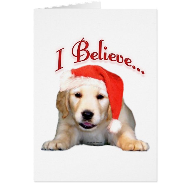 Golden Retriever que creo (Frente)