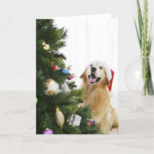 Golden retriever que mira el árbol de navidad